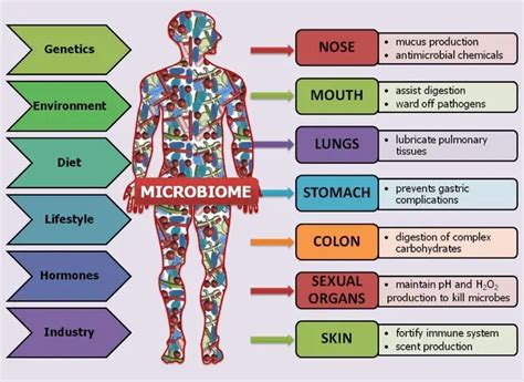 Smell yhr microbi